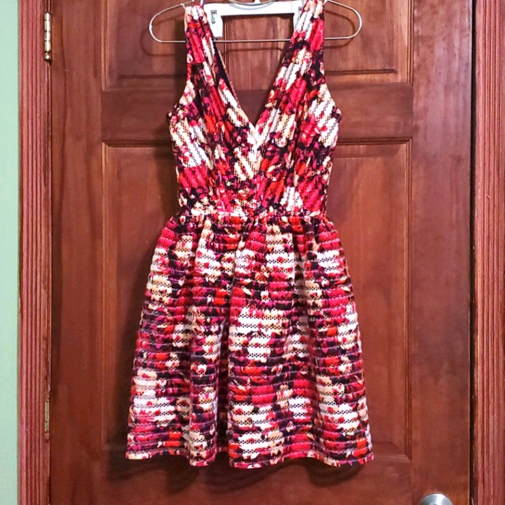Pink and Red Floral A-line Dress